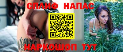 mdpv Владикавказ